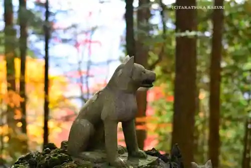 三峯神社の狛犬