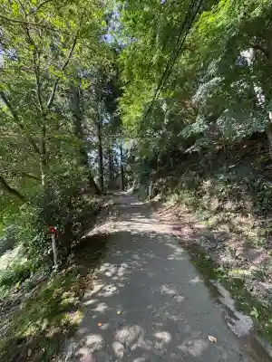 太龍寺奥の院 舎心ヶ嶽(徳島県)