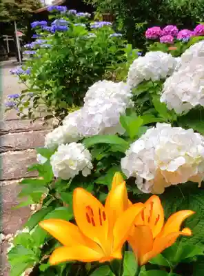 本郷氷川神社(東京都)