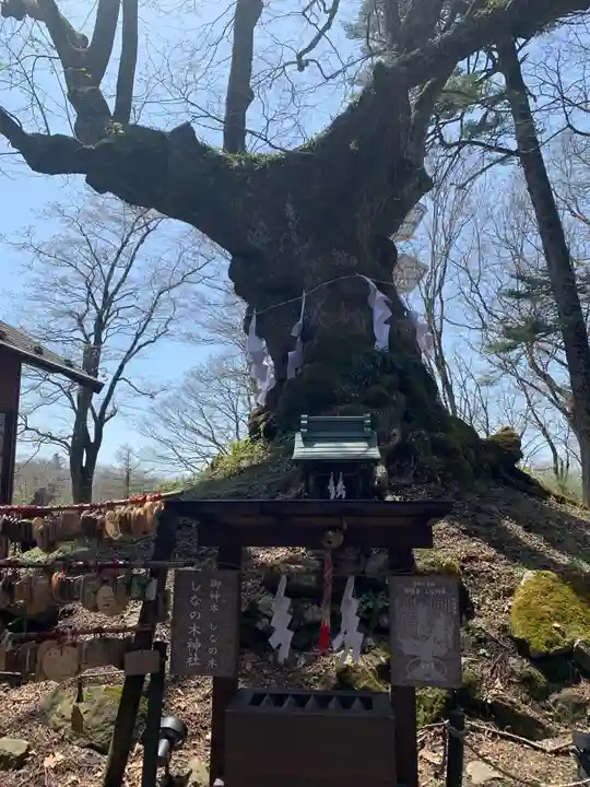 熊野皇大神社の自然