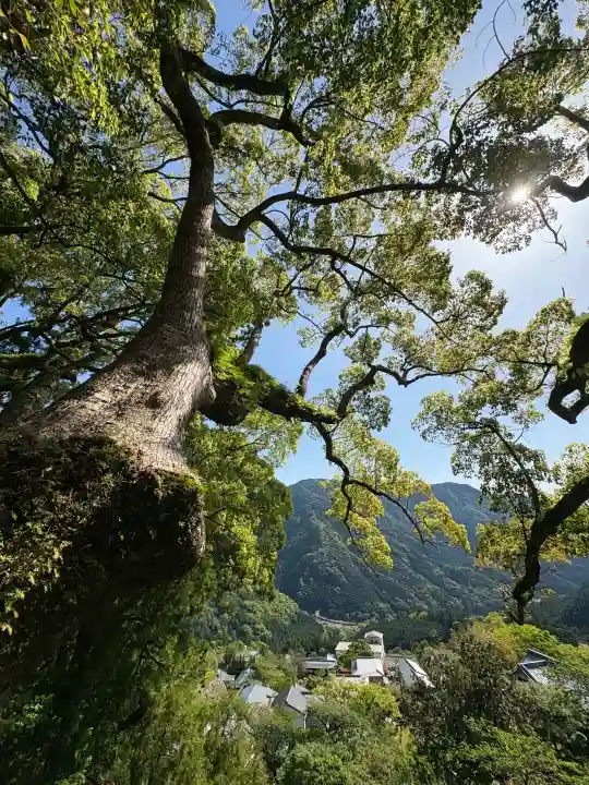 熊野那智大社の{uncategorized: "未分類", other: "その他", undefined: "問題あり", building: "その他建物", grave: "お墓", sacred_gate: "鳥居", guardian: "狛犬", statue: "像", buddha: "仏像", history: "歴史", nature: "自然", garden: "庭園", animal: "動物", pagoda: "塔", temizu: "手水舎", mountain_gate: "山門・神門", sanctuary: "本殿・本堂", subordinate: "末社・摂社", art: "芸術", scenery: "景色", jizo: "地蔵", ema: "絵馬", goshuin: "御朱印", omikuji: "おみくじ", items: "授与品その他", amulet: "お守り", goshuincho: "御朱印帳", eats: "食事", festival: "お祭り", votive_dance: "神楽", shichigosan: "七五三参", wedding: "結婚式", experience: "体験その他", initially: "初詣", around: "周辺", anti_infection: "感染症対策"}