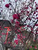 五社神社(京都府)