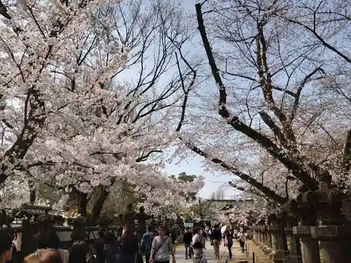 上野東照宮の景色