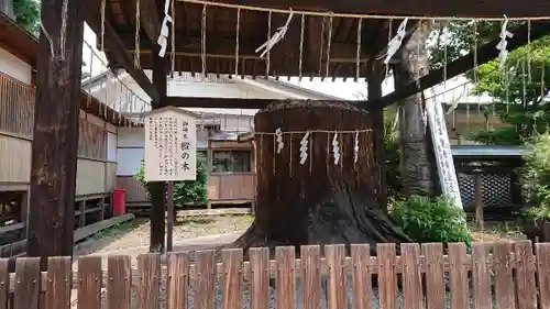 須賀神社の自然