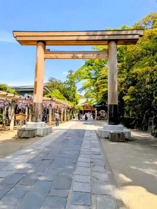 越ヶ谷久伊豆神社の{uncategorized: "未分類", other: "その他", undefined: "問題あり", building: "その他建物", grave: "お墓", sacred_gate: "鳥居", guardian: "狛犬", statue: "像", buddha: "仏像", history: "歴史", nature: "自然", garden: "庭園", animal: "動物", pagoda: "塔", temizu: "手水舎", mountain_gate: "山門・神門", sanctuary: "本殿・本堂", subordinate: "末社・摂社", art: "芸術", scenery: "景色", jizo: "地蔵", ema: "絵馬", goshuin: "御朱印", omikuji: "おみくじ", items: "授与品その他", amulet: "お守り", goshuincho: "御朱印帳", eats: "食事", festival: "お祭り", votive_dance: "神楽", shichigosan: "七五三参", wedding: "結婚式", experience: "体験その他", initially: "初詣", around: "周辺", anti_infection: "感染症対策"}