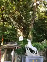 八幡朝見神社の狛犬