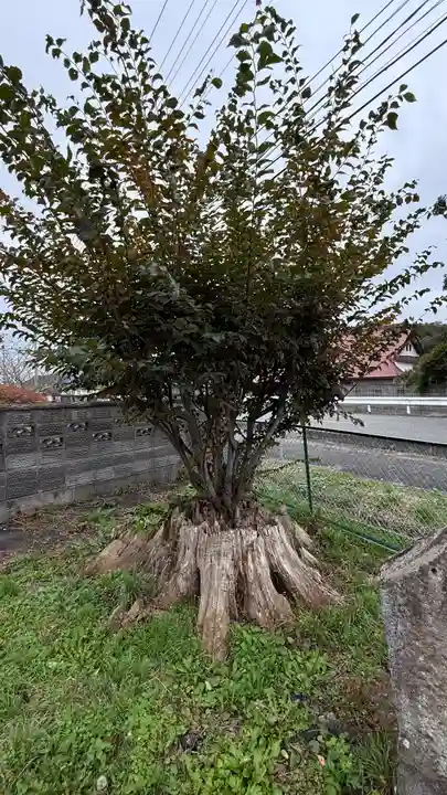 御嶽神社(宮城県)