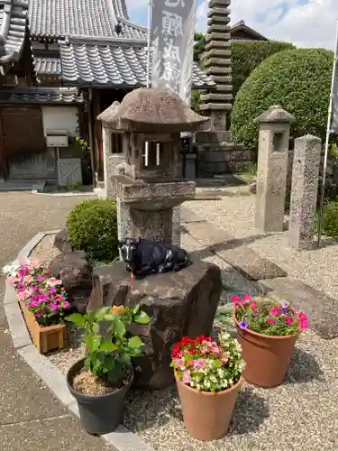 大松禅寺の庭園