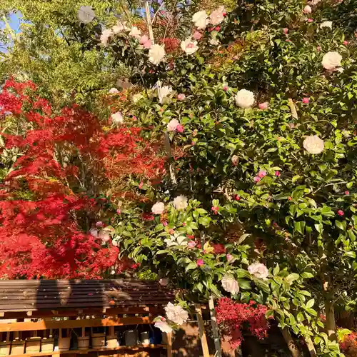 伊勢の国 四天王寺(三重県)