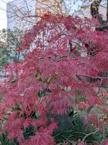 常圓寺(東京都)