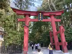 彌彦神社の鳥居