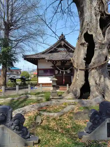 城山稲荷神社(埼玉県)