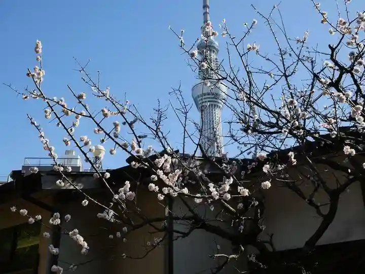 三囲神社の自然