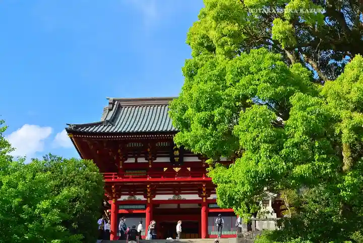 鶴岡八幡宮(神奈川県)