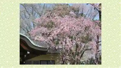 宮城縣護國神社(宮城県)