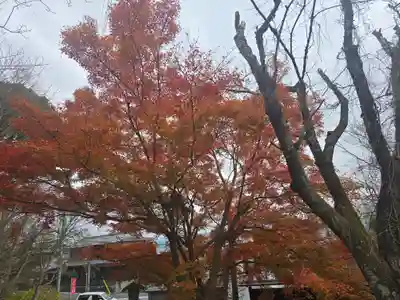出雲大神宮(京都府)