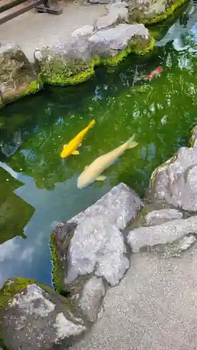 太宰府天満宮の{uncategorized: "未分類", other: "その他", undefined: "問題あり", building: "その他建物", grave: "お墓", sacred_gate: "鳥居", guardian: "狛犬", statue: "像", buddha: "仏像", history: "歴史", nature: "自然", garden: "庭園", animal: "動物", pagoda: "塔", temizu: "手水舎", mountain_gate: "山門・神門", sanctuary: "本殿・本堂", subordinate: "末社・摂社", art: "芸術", scenery: "景色", jizo: "地蔵", ema: "絵馬", goshuin: "御朱印", omikuji: "おみくじ", items: "授与品その他", amulet: "お守り", goshuincho: "御朱印帳", eats: "食事", festival: "お祭り", votive_dance: "神楽", shichigosan: "七五三参", wedding: "結婚式", experience: "体験その他", initially: "初詣", around: "周辺", anti_infection: "感染症対策"}