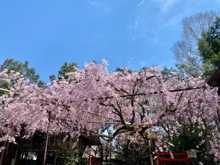 水火天満宮の自然