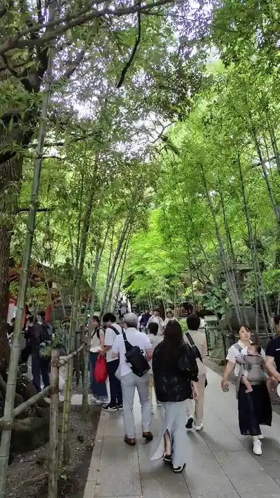 來宮神社(静岡県)