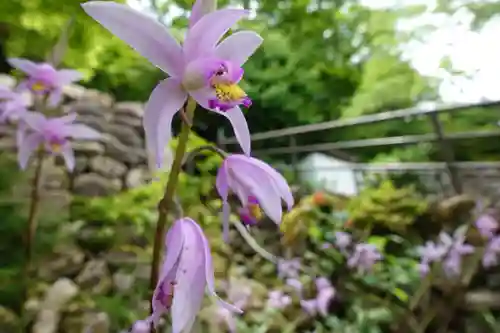 長谷寺(奈良県)
