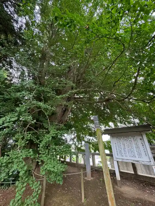 鹿嶋神社(茨城県)