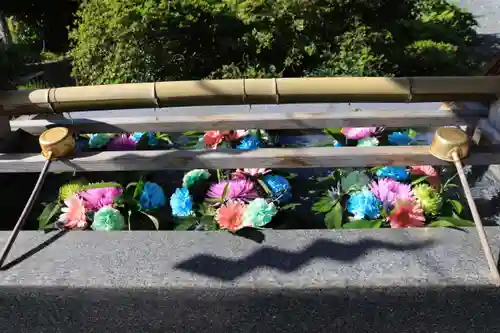 豊景神社の手水