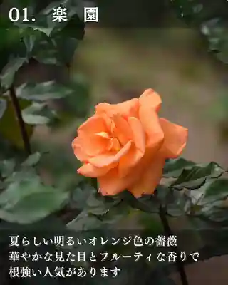 宝光寺(北海道)