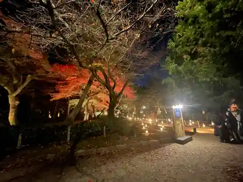 建仁寺（建仁禅寺）(京都府)