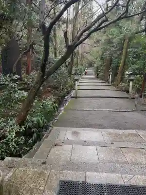 白山比咩神社の{uncategorized: "未分類", other: "その他", undefined: "問題あり", building: "その他建物", grave: "お墓", sacred_gate: "鳥居", guardian: "狛犬", statue: "像", buddha: "仏像", history: "歴史", nature: "自然", garden: "庭園", animal: "動物", pagoda: "塔", temizu: "手水舎", mountain_gate: "山門・神門", sanctuary: "本殿・本堂", subordinate: "末社・摂社", art: "芸術", scenery: "景色", jizo: "地蔵", ema: "絵馬", goshuin: "御朱印", omikuji: "おみくじ", items: "授与品その他", amulet: "お守り", goshuincho: "御朱印帳", eats: "食事", festival: "お祭り", votive_dance: "神楽", shichigosan: "七五三参", wedding: "結婚式", experience: "体験その他", initially: "初詣", around: "周辺", anti_infection: "感染症対策"}