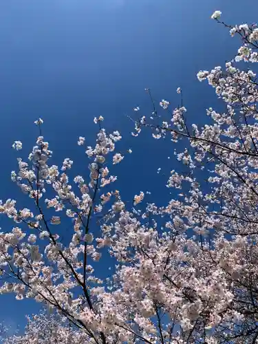 滑川神社 - 仕事と子どもの守り神(福島県)