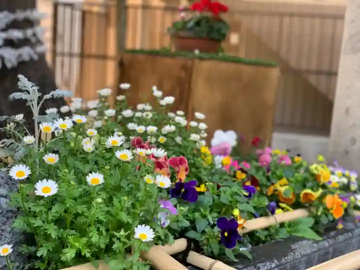 上目黒氷川神社の手水舎