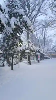 新琴似神社のその他建物