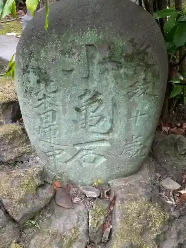 待乳山聖天（本龍院）の{uncategorized: "未分類", other: "その他", undefined: "問題あり", building: "その他建物", grave: "お墓", sacred_gate: "鳥居", guardian: "狛犬", statue: "像", buddha: "仏像", history: "歴史", nature: "自然", garden: "庭園", animal: "動物", pagoda: "塔", temizu: "手水舎", mountain_gate: "山門・神門", sanctuary: "本殿・本堂", subordinate: "末社・摂社", art: "芸術", scenery: "景色", jizo: "地蔵", ema: "絵馬", goshuin: "御朱印", omikuji: "おみくじ", items: "授与品その他", amulet: "お守り", goshuincho: "御朱印帳", eats: "食事", festival: "お祭り", votive_dance: "神楽", shichigosan: "七五三参", wedding: "結婚式", experience: "体験その他", initially: "初詣", around: "周辺", anti_infection: "感染症対策"}