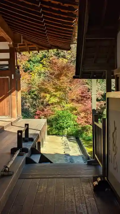 東福禅寺(東福寺)(京都府)