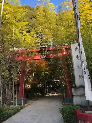 來宮神社(静岡県)