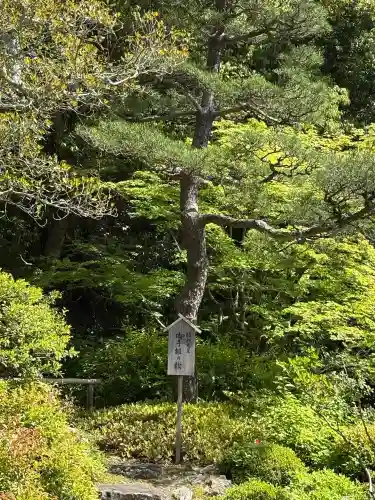 知恩院の{uncategorized: "未分類", other: "その他", undefined: "問題あり", building: "その他建物", grave: "お墓", sacred_gate: "鳥居", guardian: "狛犬", statue: "像", buddha: "仏像", history: "歴史", nature: "自然", garden: "庭園", animal: "動物", pagoda: "塔", temizu: "手水舎", mountain_gate: "山門・神門", sanctuary: "本殿・本堂", subordinate: "末社・摂社", art: "芸術", scenery: "景色", jizo: "地蔵", ema: "絵馬", goshuin: "御朱印", omikuji: "おみくじ", items: "授与品その他", amulet: "お守り", goshuincho: "御朱印帳", eats: "食事", festival: "お祭り", votive_dance: "神楽", shichigosan: "七五三参", wedding: "結婚式", experience: "体験その他", initially: "初詣", around: "周辺", anti_infection: "感染症対策"}