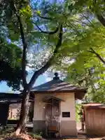 とげぬき地蔵尊の本殿・本堂