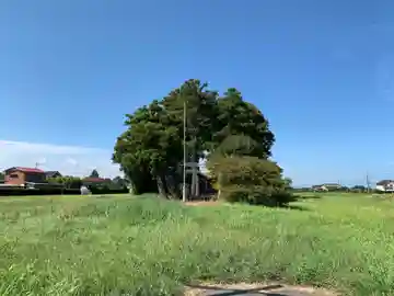 水神社(千葉県)