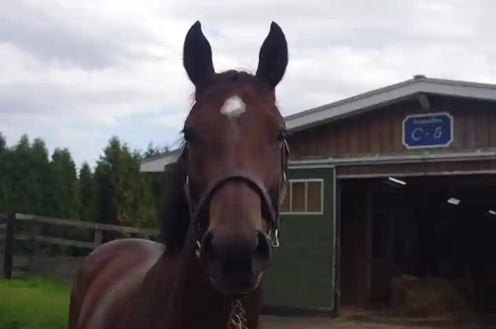 遠浅神社(北海道)