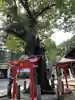 新田神社(東京都)
