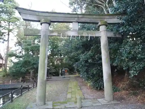 天津神社の鳥居