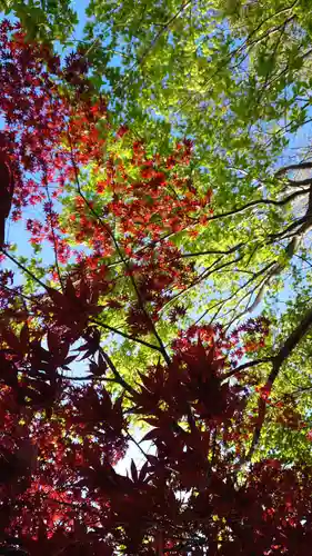 相馬神社の自然