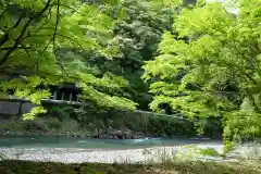 滝尻王子宮十郷神社の景色