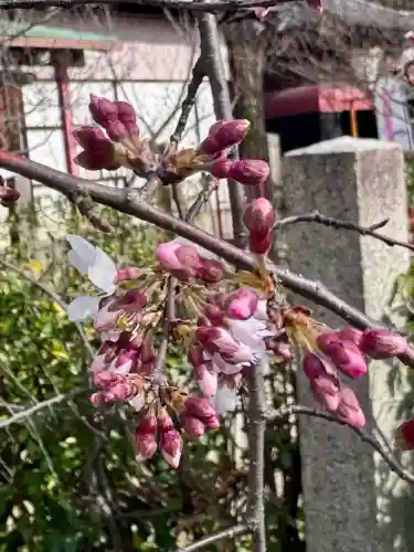 長建寺の{uncategorized: "未分類", other: "その他", undefined: "問題あり", building: "その他建物", grave: "お墓", sacred_gate: "鳥居", guardian: "狛犬", statue: "像", buddha: "仏像", history: "歴史", nature: "自然", garden: "庭園", animal: "動物", pagoda: "塔", temizu: "手水舎", mountain_gate: "山門・神門", sanctuary: "本殿・本堂", subordinate: "末社・摂社", art: "芸術", scenery: "景色", jizo: "地蔵", ema: "絵馬", goshuin: "御朱印", omikuji: "おみくじ", items: "授与品その他", amulet: "お守り", goshuincho: "御朱印帳", eats: "食事", festival: "お祭り", votive_dance: "神楽", shichigosan: "七五三参", wedding: "結婚式", experience: "体験その他", initially: "初詣", around: "周辺", anti_infection: "感染症対策"}