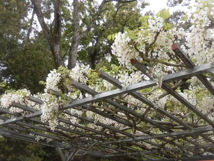 龍田大社の庭園