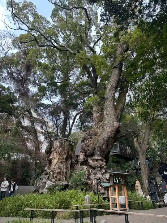 來宮神社の{uncategorized: "未分類", other: "その他", undefined: "問題あり", building: "その他建物", grave: "お墓", sacred_gate: "鳥居", guardian: "狛犬", statue: "像", buddha: "仏像", history: "歴史", nature: "自然", garden: "庭園", animal: "動物", pagoda: "塔", temizu: "手水舎", mountain_gate: "山門・神門", sanctuary: "本殿・本堂", subordinate: "末社・摂社", art: "芸術", scenery: "景色", jizo: "地蔵", ema: "絵馬", goshuin: "御朱印", omikuji: "おみくじ", items: "授与品その他", amulet: "お守り", goshuincho: "御朱印帳", eats: "食事", festival: "お祭り", votive_dance: "神楽", shichigosan: "七五三参", wedding: "結婚式", experience: "体験その他", initially: "初詣", around: "周辺", anti_infection: "感染症対策"}