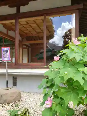 鳩森八幡神社のその他建物