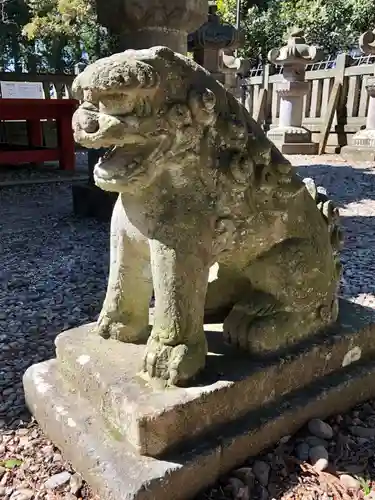 仙波東照宮の狛犬