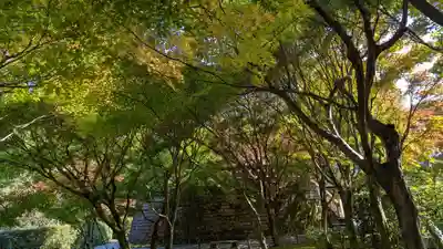 化野念仏寺(京都府)