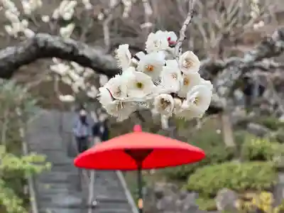 長谷寺(神奈川県)